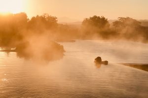 adler spa resort thermae