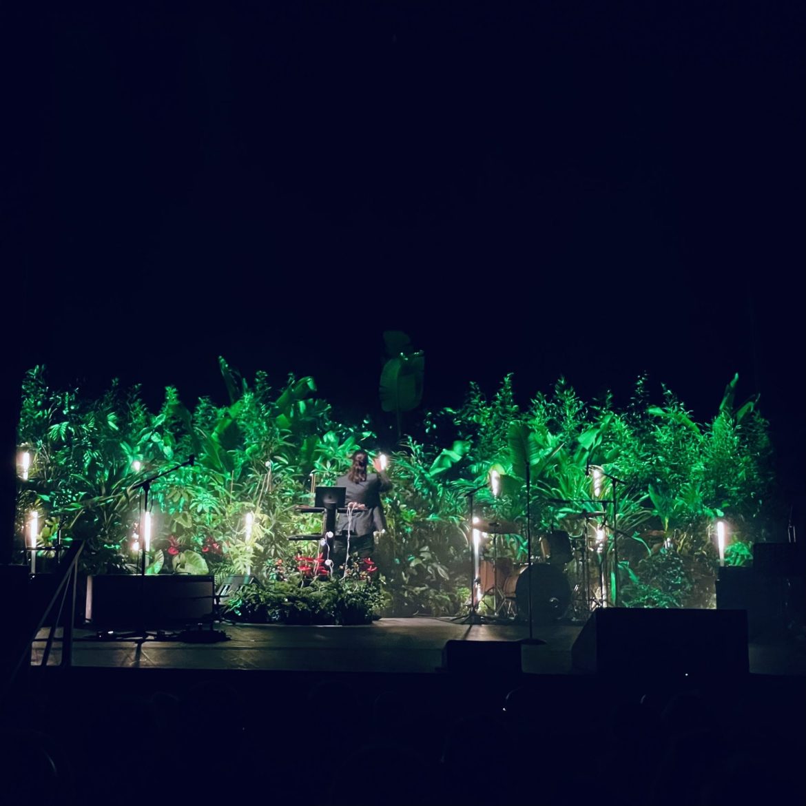 tersan puglia, concerto piante 8