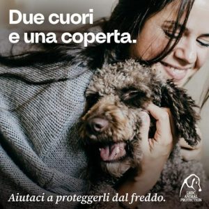 animali, è arrivato il gelo. parte dona una coperta 4