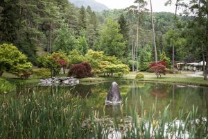 comano parco delle terme