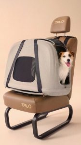 i trasportini per viaggiare al sicuro col tuo pet