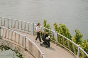 i trasportini per viaggiare al sicuro col tuo pet (3)