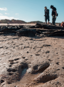 australia, la terra dove incontrare i dinosauri! crediti dinosaur footprints at reddell beach, broome ©tourism western australia