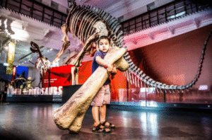 australia, la terra dove incontrare i dinosauri! crediti dinosaurus exhibition, james honran ©australian museum