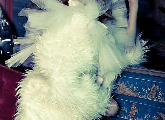 diamond luisant ph press