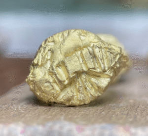 i gioielli scultorei di rossella taffa nel cuore di brera