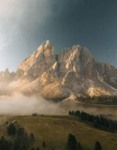 disconnessione il foliage che nutre l'anima