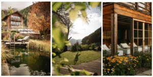 disconnessione il foliage che nutre l'anima (8)