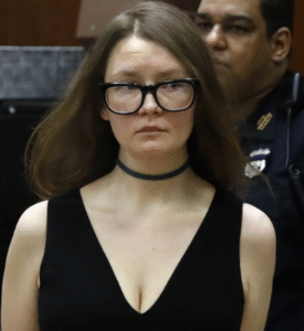 Anna Sorokin al processo ph ig