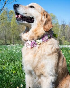 romasposa 2025 asia's friend accessorio floreale