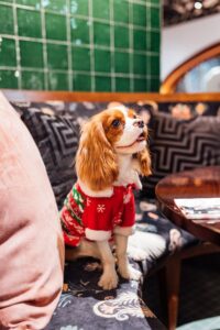 mama shelter roma il natale più cool della capitale