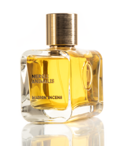 profumi che incantano i segreti per essere indimenticabile (2)