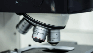 raffaella capece, scienza e bellezza si incontrano (2)