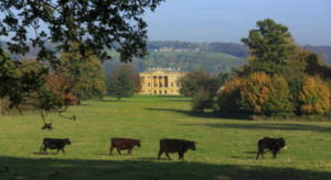 bridgerton mania dove dormire per vivere il sogno