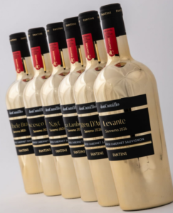 festival da star il brindisi glamour dei cantanti a sanremo (2)