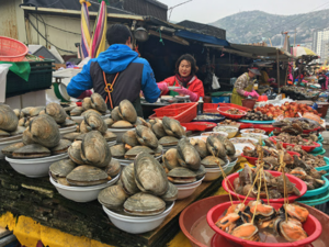 la corea in fiore il viaggio che sta dettando tendenza (2)