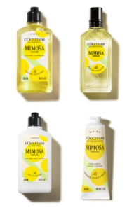 mimosa oltre il fiore celebriamo in bellezza l’8 marzo