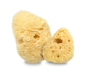 bellezza senz'acqua la guida alla cosmesi solida etica (3)