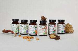 funghi medicinali l’antico segreto per vivere meglio (3)