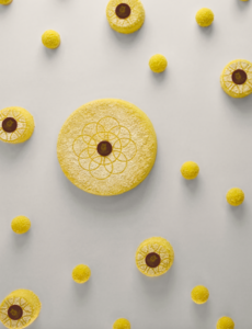 l'8 marzo ha un nuovo profumo la dolcezza che non ti aspetti (2)