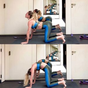 msb trainig mobilità in quadrupedia cat cow