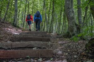 [visit paganella] 1. parco del respiro ph.tommaso pini (1)