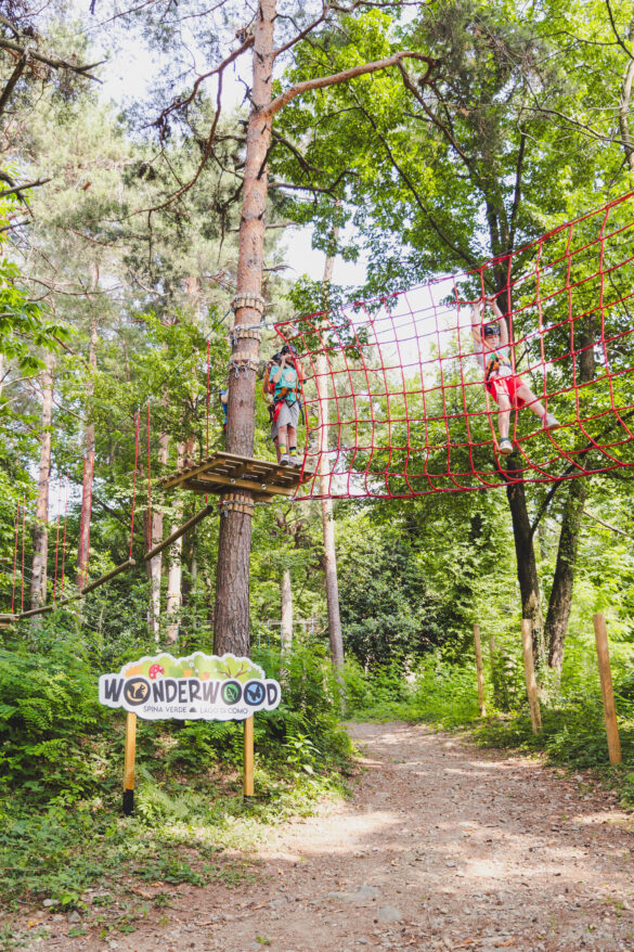 wonderwood spina verde ph press