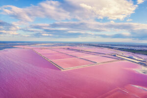 camargue il fascino segreto della festa dei gitani