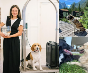 in viaggio con il pet le mete top per un’estate insieme