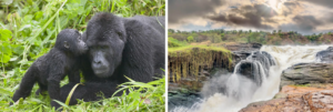 uganda, la perla d'africa che ti prende il cuore (7)