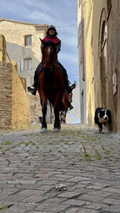 cavallo, per scoprire tutta la magia delle marche (2)
