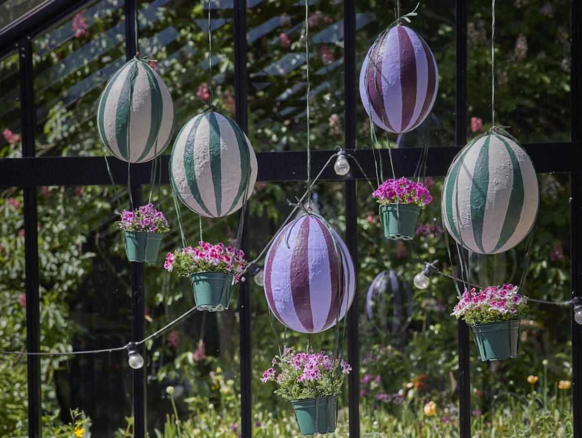 gerani ph pelargonium for europe2