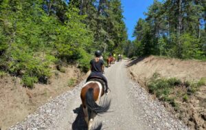 passeggiata cavallo val di non