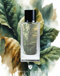 fragranze nobili l'allure regale che seduce le icone chic